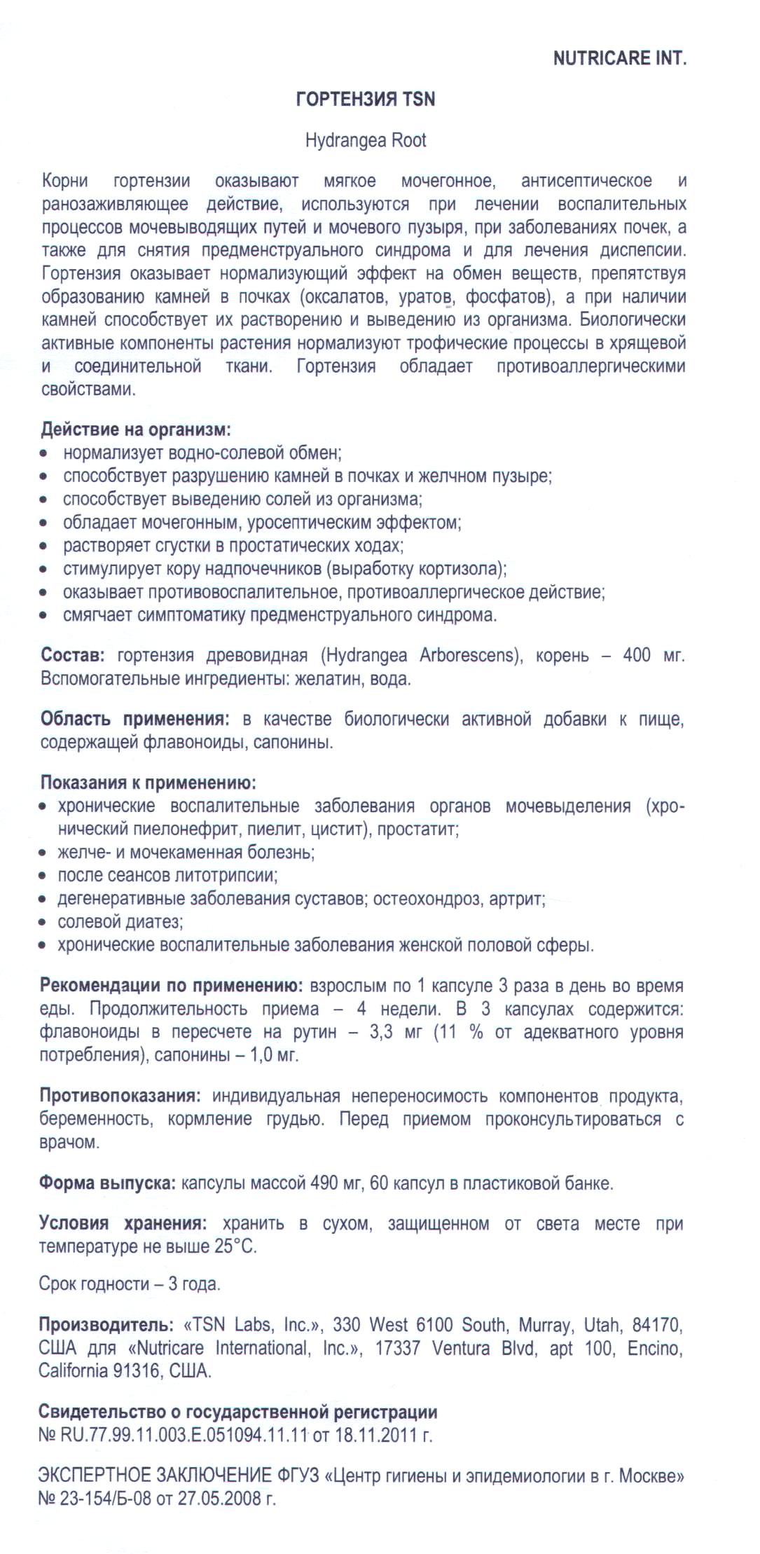 Гортензия