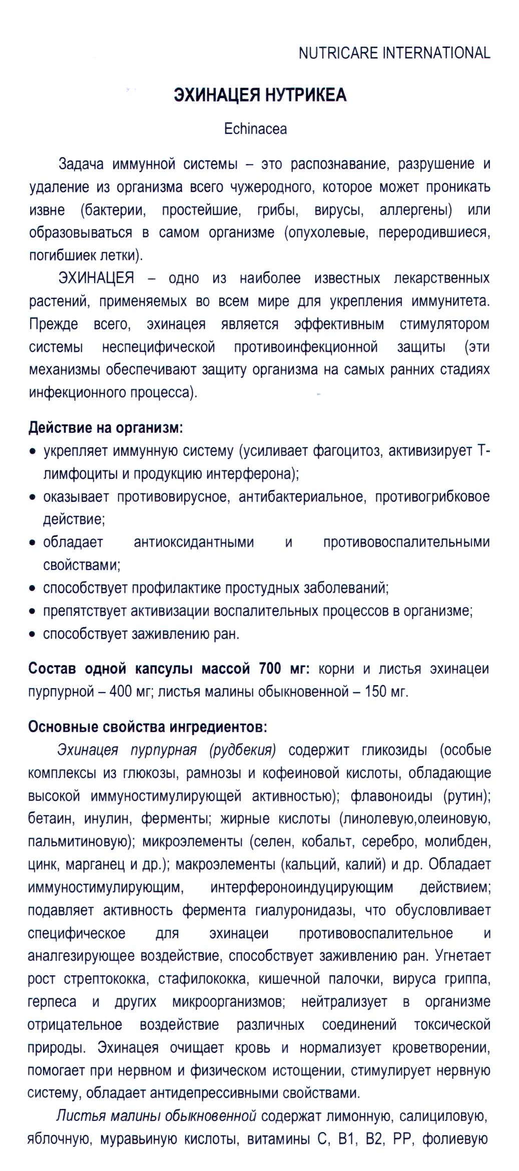 Эхинацея