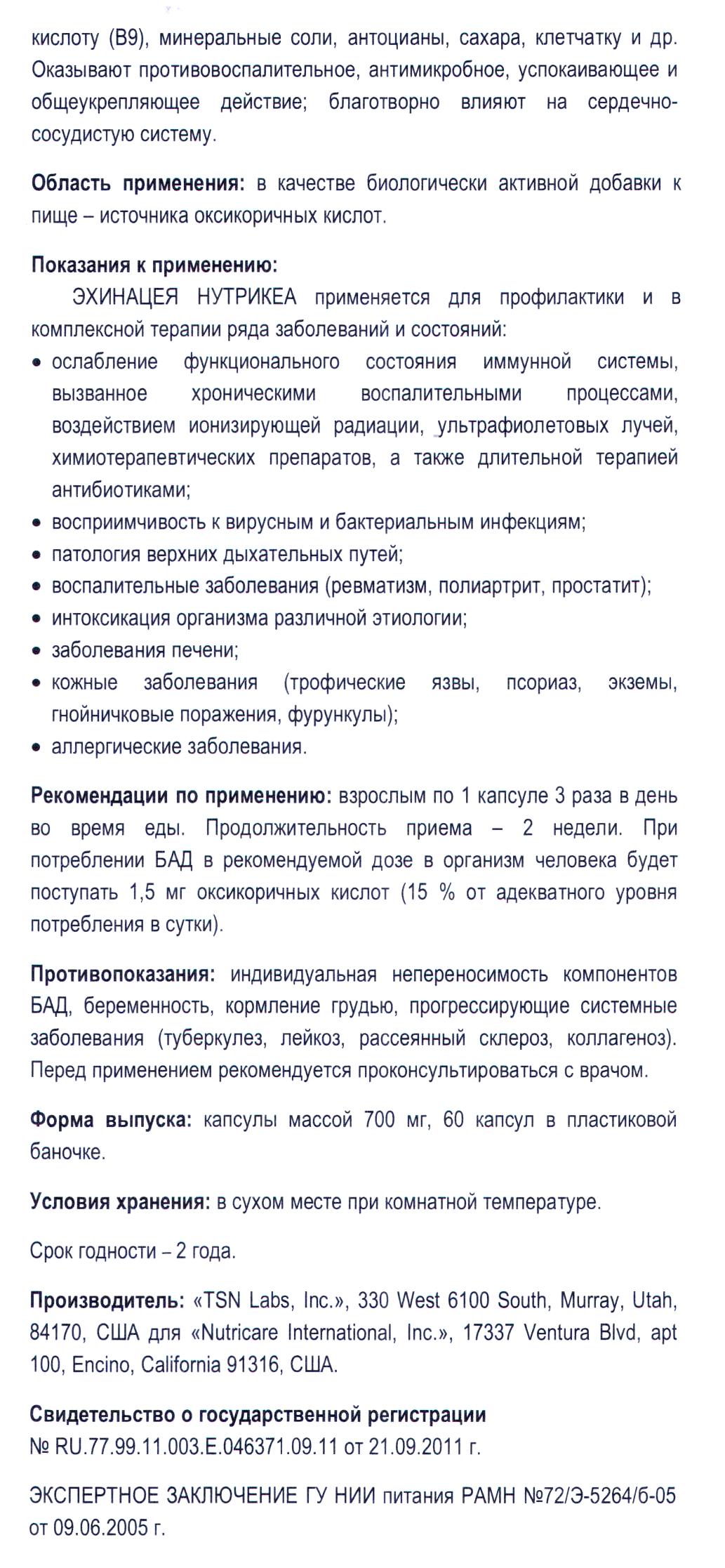 Эхинацея