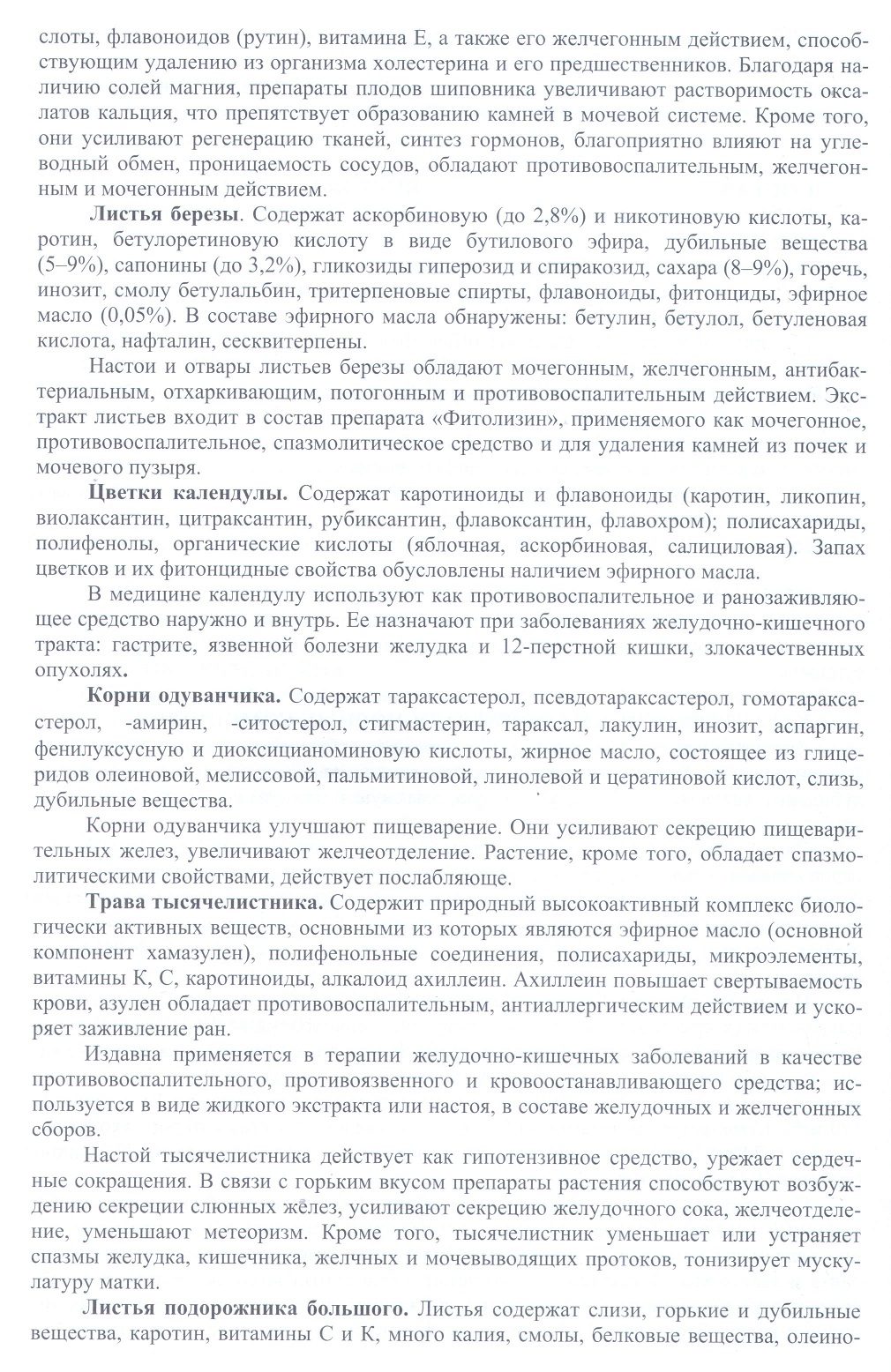 Простадонт