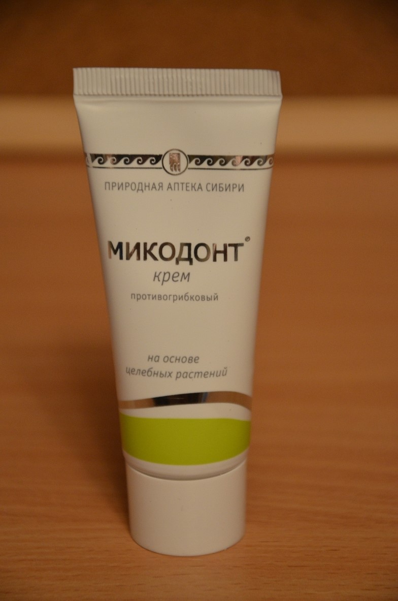Микодонт