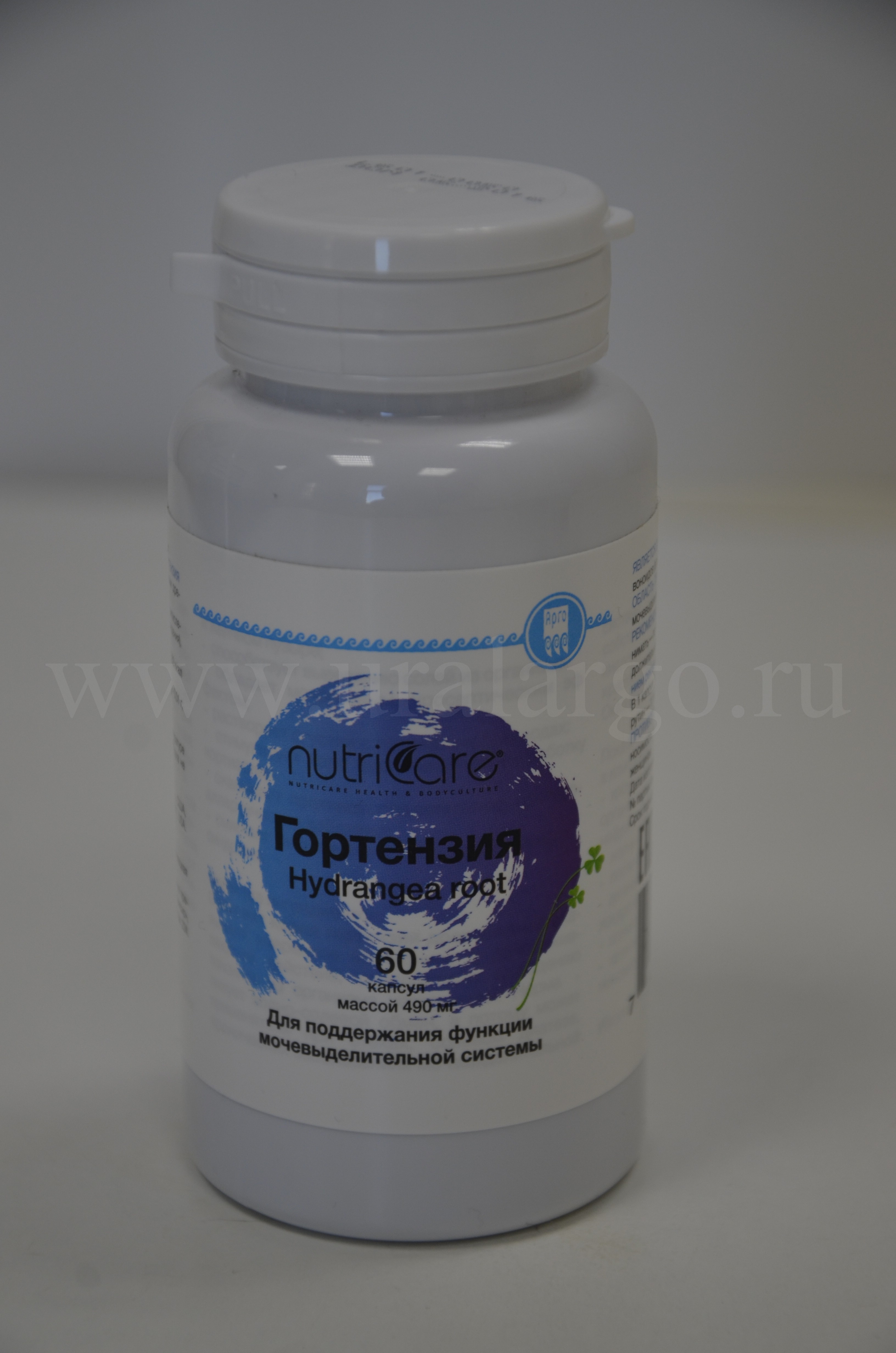 Гортензия Екатеринбург