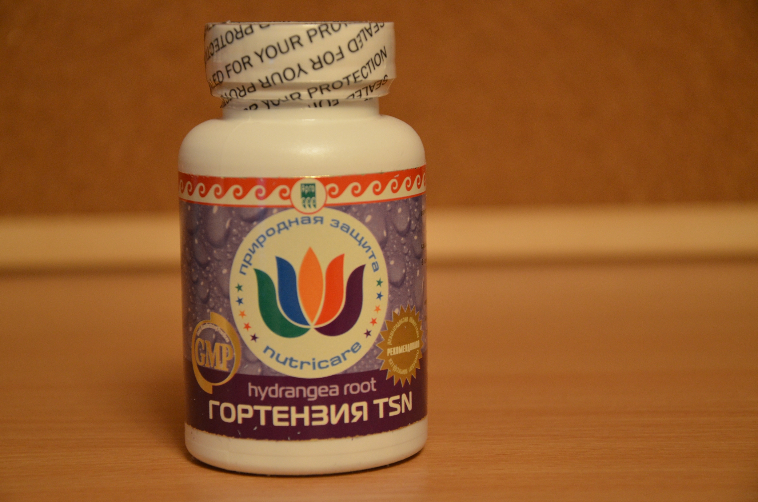 Гортензия купить